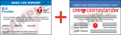 Sample American Heart Association AHA BLS CPR Card Certification and First Aid Certification Card from CPR Certification Irvine