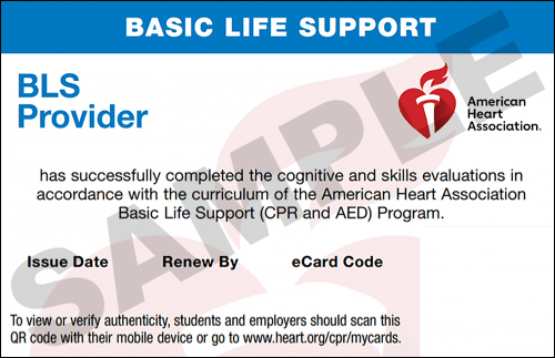 Sample American Heart Association AHA BLS CPR Card Certification from CPR Certification Irvine