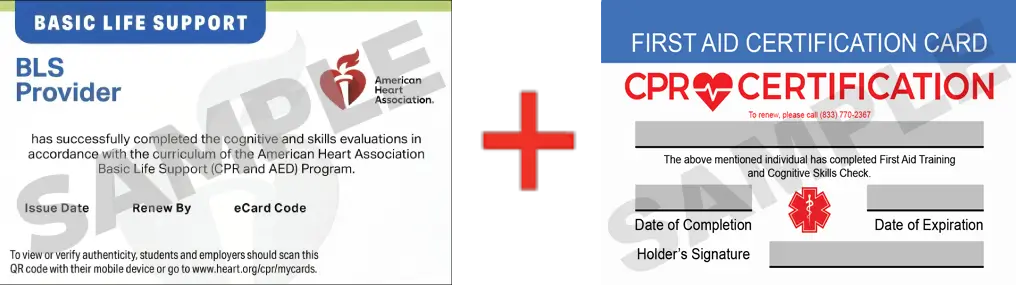 Sample American Heart Association AHA BLS CPR Card Certification and First Aid Certification Card from CPR Certification Irvine