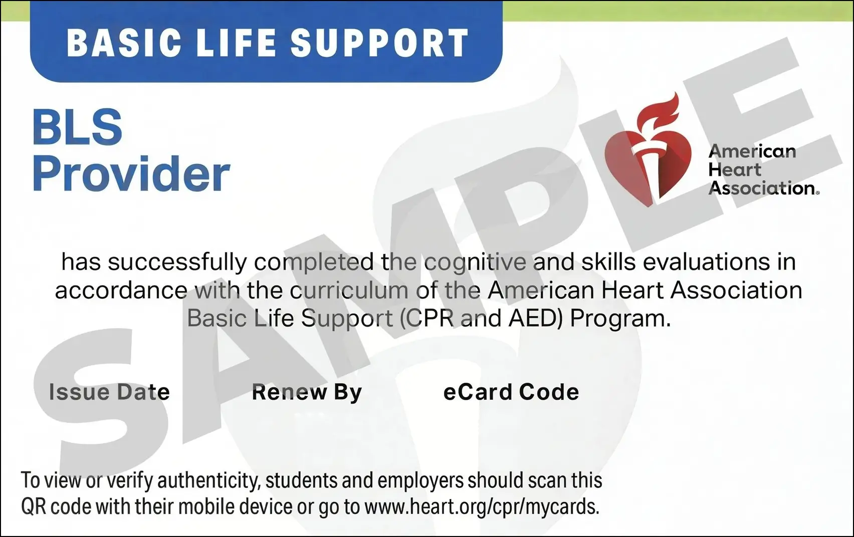 Sample American Heart Association AHA BLS CPR Card Certification from CPR Certification Irvine